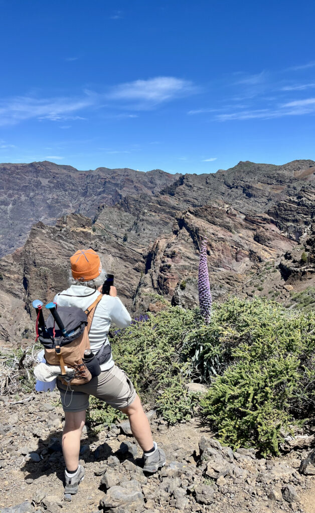 Senderismo por montañas en la palma