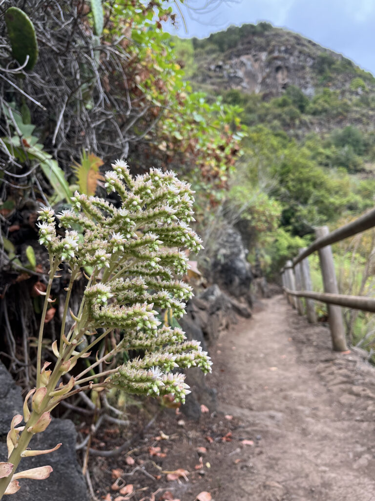 Foto de Tilos