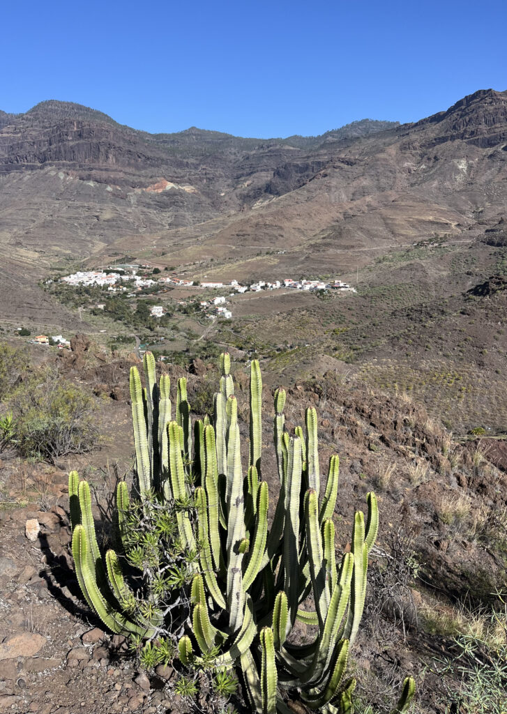 Montañas de Veneguera
